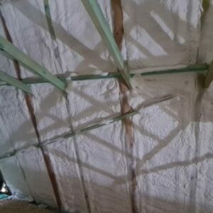 IMG-20211216-WA0019
