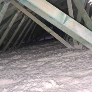 IMG-20211220-WA0002