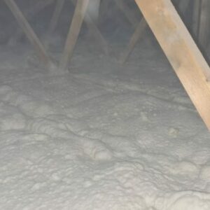 IMG-20211222-WA0003