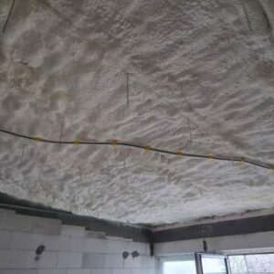IMG-20211230-WA0005