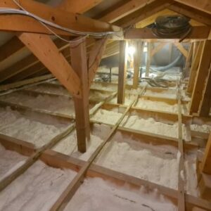 IMG-20220104-WA0005