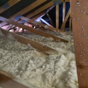 IMG-20220119-WA0002