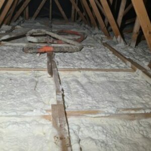 IMG-20220119-WA0006