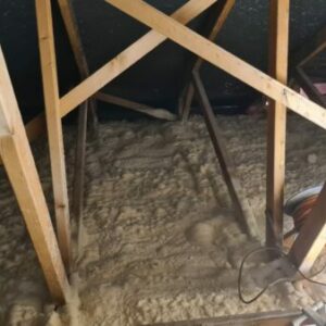 IMG-20220119-WA0012