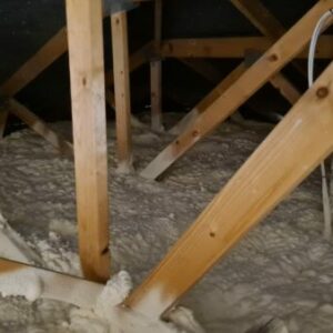 IMG-20220119-WA0013
