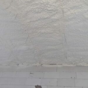IMG-20220210-WA0001