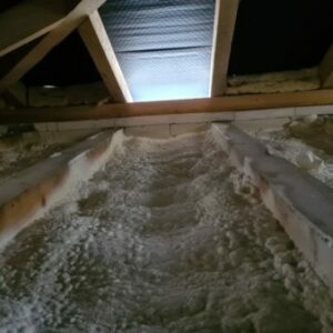 IMG-20220307-WA0002