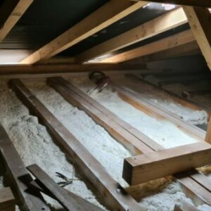IMG-20220307-WA0005