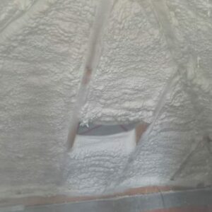 IMG-20220407-WA0001
