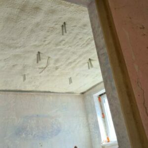 IMG-20220803-WA0003