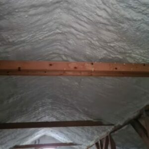 IMG-20221109-WA0005