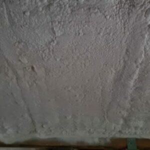 IMG-20221109-WA0006