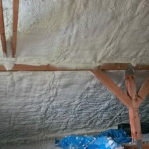 IMG-20221109-WA0007