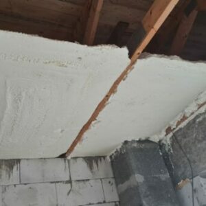 IMG-20221111-WA0000